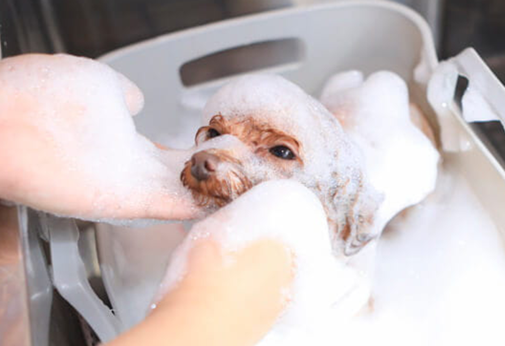 その子のための特別なケア