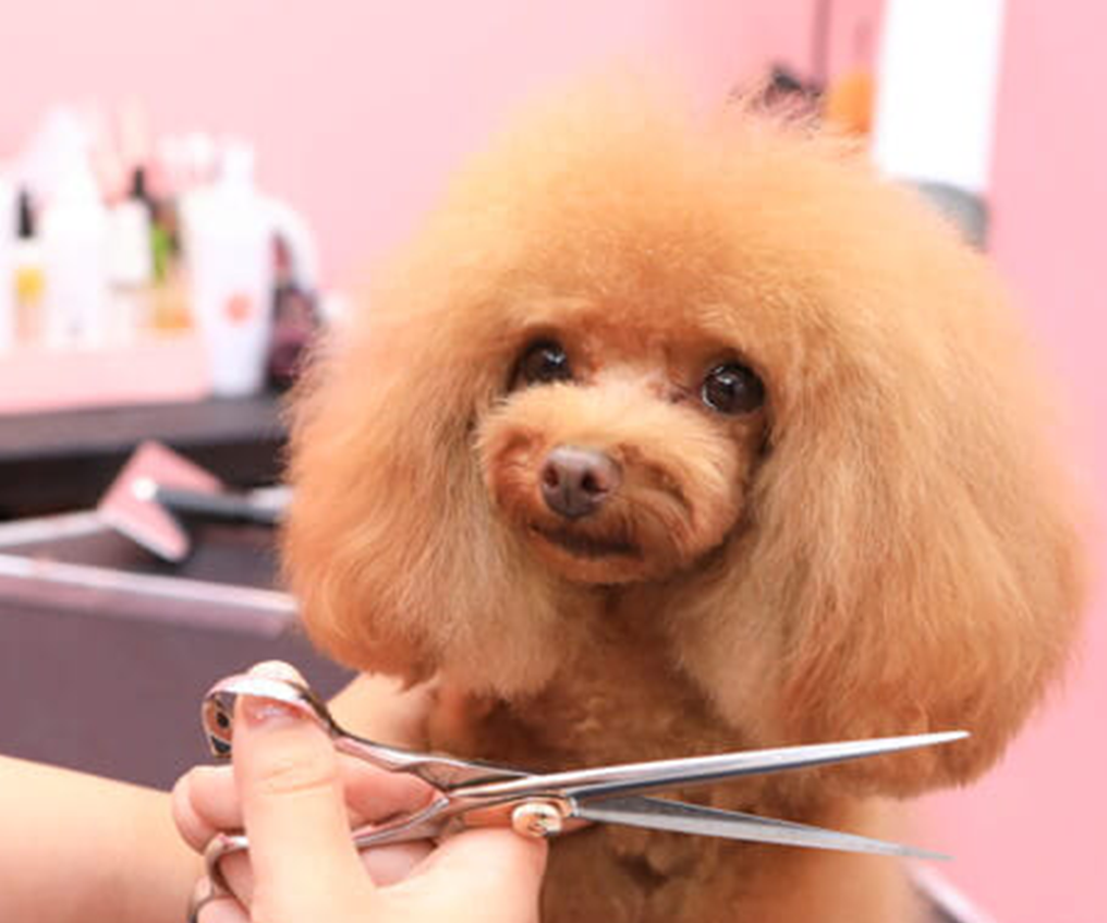 トレーニングデイについて